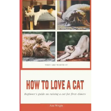 How to Love a Cat: Beginner's Guide on Raising a Cat for First Timers