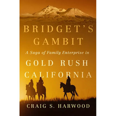 Bridget's Gambit: A Saga of Family Enterprise in Gold Rush California Volume 4