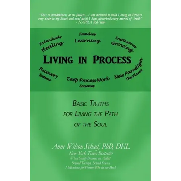 Living in Process: Basic Truths for Living the Path of the Soul