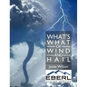 What's What of Wind and Hail