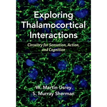 Exploring Thalamocortical Interactions: Circuitry for Sensation, Action, and Cognition