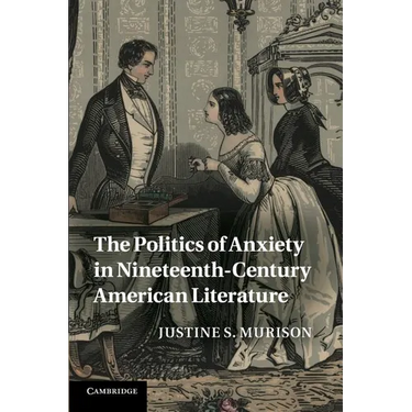The Politics of Anxiety in Nineteenth-Century American Literature