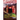 Secret of the Songshell: Book One of the Spectraland Saga