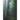Talking to Trees: A Journey into Soul