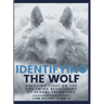 Identifying The Wolf: Shedding Light on the Grooming Behaviours of Sexual Predators