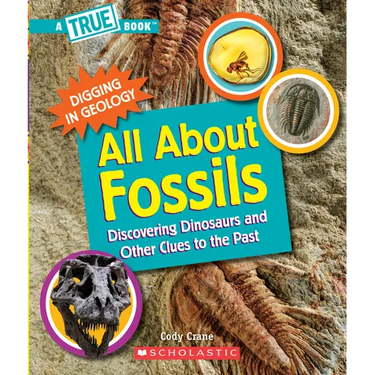 All about Fossils: Discovering Dinosaurs and Other Clues to the Past (a True Book: Digging in Geology)