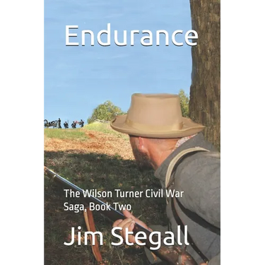 Endurance: The Wilson Turner Civil War Saga