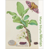 Maria Sibylla Merian