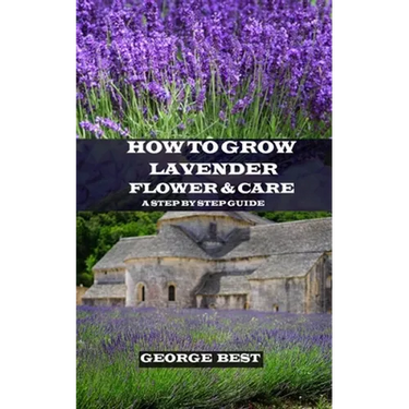 How to Grow Lavender Flower and Care: A Step by Step Guide