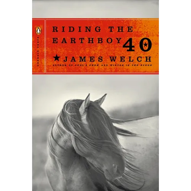 Riding the Earthboy 40