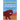 The Mystery of the Missing Lion