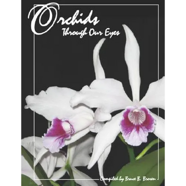 Orchids Through Our Eyes