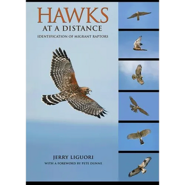Hawks at a Distance: Identification of Migrant Raptors