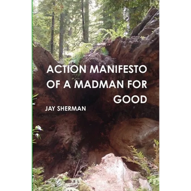 Action Manifesto of a Madman for Good