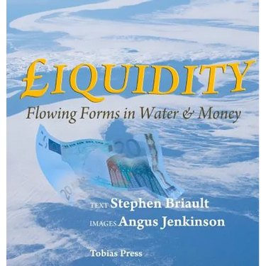 Liquidity: Flowing Forms in Water and Money