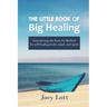 The Little Book of Big Healing: Introducing the Ease In Method for self-healing body, mind, and spirit