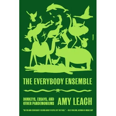 The Everybody Ensemble: Donkeys, Essays, and Other Pandemoniums