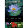 Wildflowers of the Coastal Plain: A Field Guide