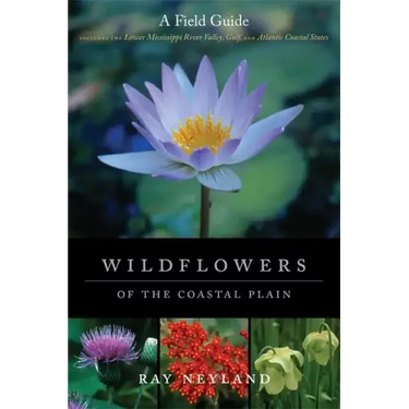 Wildflowers of the Coastal Plain: A Field Guide