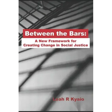 Between the Bars: A New Framework for Creating Change in Social Justice