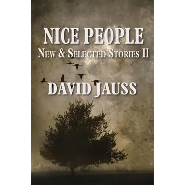 Nice People: New & Selected Stories II