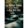 The Foster Twins In The Mystery at Red Bud Cove