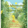 The Adventures of the Missing Sock