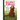 Rabbit & Bear: The Pest in the Nest