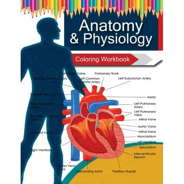 Anatomy & Physiology Coloring WorkBook Books