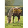 Laminitis: A Scientific and Realistic Approach