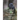 Toutouwai New Zealand Robin: Fact and Activity Book