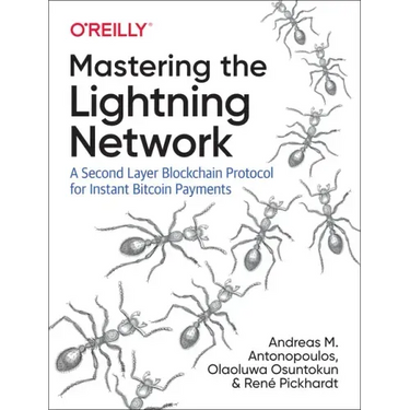 Mastering the Lightning Network: A Second Layer Blockchain Protocol for Instant Bitcoin Payments