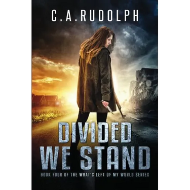 Divided We Stand: Book Four of the What's Left of My World Series