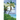 Bahamian Rhapsody