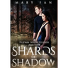 Flynn Nightsider and the Shards of Shadow