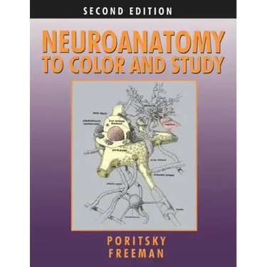 Neuroanatomy to Color and Study