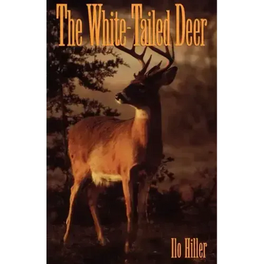 The White-Tailed Deer