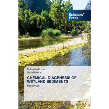 Chemical Diagenesis of Wetland Sediments