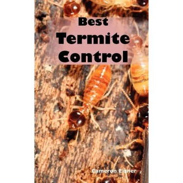 Best Termite Control: All You Need to Know about Termites and How to Get Rid of Them Fast