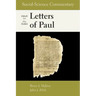 Social-Science Commentary on the Letters of Paul