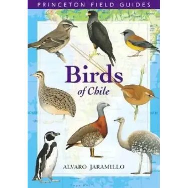 Birds of Chile