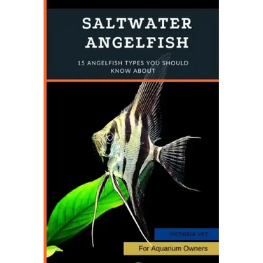 Saltwater Angelfish: 15 Angelfish Types You Should Know About