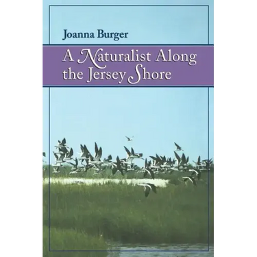 A Naturalist Along the Jersey Shore