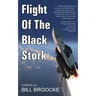 Flight of the Black Stork