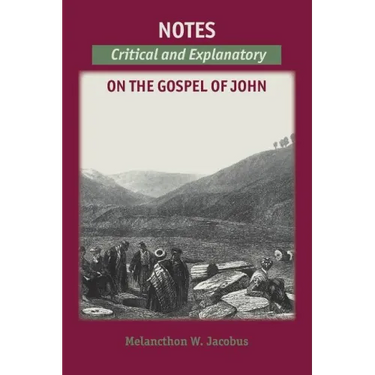 Notes on the Gospels: Critical and Explanatory on John