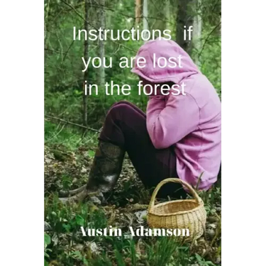 instructions if you are lost in the forest