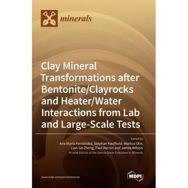 Clay Mineral Transformations after Bentonite/Clayrocks and Heater/Water Interactions from Lab and Large-Scale Tests