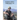 Marine Down, Corpsman Up: Vietnam and Ptsd