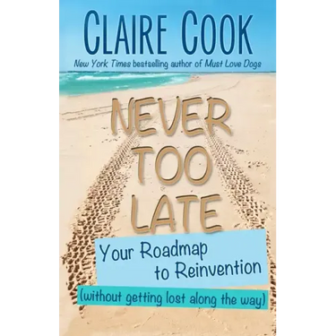 Never Too Late: Your Roadmap to Reinvention (without getting lost along the way)