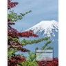 Kanji Practice Workbook: For Japanese Character Writing